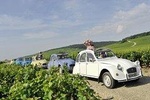 Unusual exploration of the terroirs of Burgundy in 2CV - from 6 people
