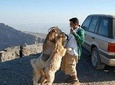 Jebel Shams Day trip (Muscat tours) :Oman Shore excursions