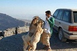 Jebel Shams Day trip (Muscat tours) :Oman Shore excursions