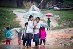 Sapa Villages trekking 2 Days Tour from Hanoi: Limousine bus & 3 star hotels