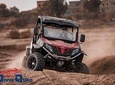 1/2 Day Buggy Marrakech Palmeraie