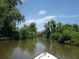 Sightseeing tours and private tours in the Danube Delta ... Camely Hidrobuz