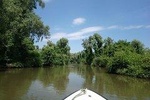 Sightseeing tours and private tours in the Danube Delta ... Camely Hidrobuz