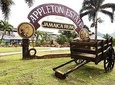Appleton Estate Rum Tour and Tasting from Ocho Rios