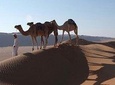 Wahiba Sands&Wadi Bani Khalid desert Safari(Muscat tours) :Outdoor activity
