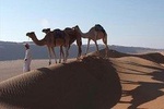 Wahiba Sands&Wadi Bani Khalid desert Safari(Muscat tours) :Outdoor activity