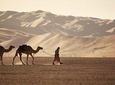 Wahiba Sands&Wadi Bani Khalid desert Safari(Muscat tours) : Private tours