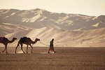 Wahiba Sands&Wadi Bani Khalid desert Safari(Muscat tours) : Private tours