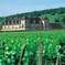 Exclusive Weekend In Burgundy