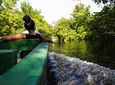 Sunset Boat Tour into the Caroni Wetlands from Port of Spain