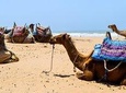Camel Ride on the Beach of Essaouira
