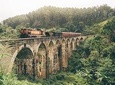 Explore, Relax & Rejuvenate (12 Days)