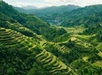 Banaue & Batad UNESCO 3days 2 nights Tour ( Private Group Tour Max 6 Travelers)