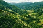 Banaue & Batad UNESCO 3days 2 nights Tour ( Private Group Tour Max 6 Travelers)