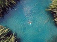 The Great Hotsprings 