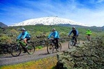 Mountain Biking Etna