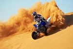 Morning Dubai Red Dune Safari, Quad Bike (ATV), Sand Boarding and Camel Ride