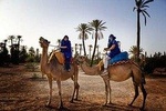 Camel ride in Marrakech (Palmerie) 