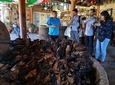 Tule, Mitla, Hierve el Agua Tour and Mezcal Distilleries with FREE degustation!