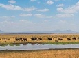 Arusha National Park Day Trip