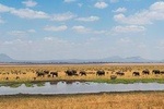 Arusha National Park Day Trip
