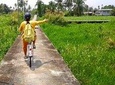 Private - A BIKING TOUR at Car-Free ISLAND incl LUNCH