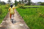 Private - A BIKING TOUR at Car-Free ISLAND incl LUNCH