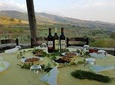 Winetasting tour in Alpeta winery - Roshnik village by 1001 Albanian Adventures