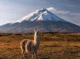Cotopaxi National Park Tour: Hiking and Downhill Bike All Inclusive