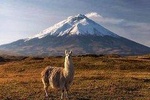 Cotopaxi National Park Tour: Hiking and Downhill Bike All Inclusive