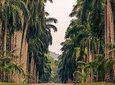 Heritage and Beach (14 Days)