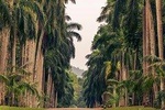 Heritage and Beach (14 Days)