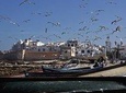 from Taghazoute bay Agadir: Essaouira private excursion