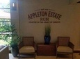 YS Falls and Appleton Estate Private Rum Tour 