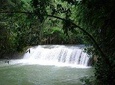 Ys Falls Private Tour
