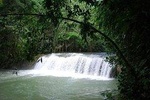 Ys Falls Private Tour