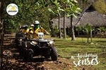 Jungle ATV Tour "La Tigra" (two adults)