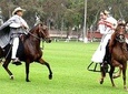 Pachacamac Pyramids, Lunch & Dance Horse Show!! Must see in Lima.
