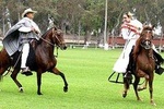 Pachacamac Pyramids, Lunch & Dance Horse Show!! Must see in Lima.