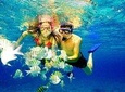 Catamaran Snorkel and Dolphin Watch Tour in Panama City Beach