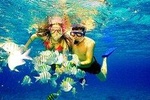 Catamaran Snorkel and Dolphin Watch Tour in Panama City Beach