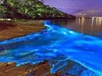  Luminous Lagoon (Glistening Waters) Private Night Tour
