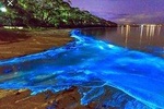  Luminous Lagoon (Glistening Waters) Private Night Tour