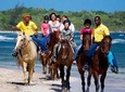 Horseback Ride n Swim and Green Grotto Adventure Tour from Falmouth