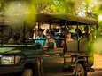 Big 5 Safari and Route 62 from Cape Town 3 Days/2Nights ( Comfort Plus)