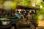 Big 5 Safari and Route 62 from Cape Town 3 Days/2Nights ( Comfort Plus)
