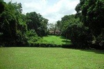Bentota City Tour from Mirissa 