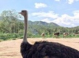 Private Transfer between Badaling Wildlife Park and Beijing City Hotel