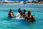 Horseback Ride and Swim Adventure Tour from Ocho Rios