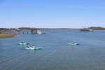 Hilton Head Guided Kayak Tour 